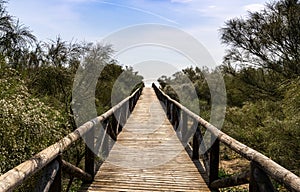 Long wooden boardwalk and beach access leads to beach and glistening ocean photo