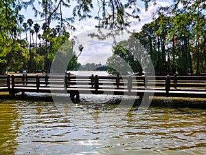 A long wooden bridge over a lake with lush green trees hanging over