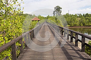 Long wooden footbridge, near Manado, Sulawesi, Indonesia