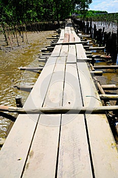 Long Wooden Pathway on Mudflats