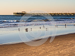 Long wooden pier on the Atlantic coast with setting sun and seagulls on the on the beach
