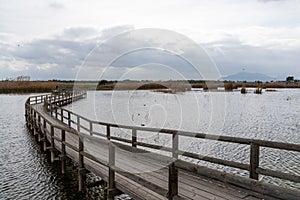 Long wooden pier and boardwalk in brackish water wetlands with esparto grass and lagoon under an overcast sky