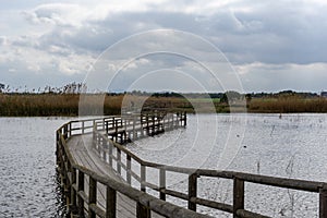 Long wooden pier and boardwalk in brackish water wetlands with esparto grass and lagoon under an overcast sky