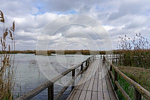 Long wooden pier and boardwalk in brackish water wetlands with esparto grass and lagoon under an overcast sky