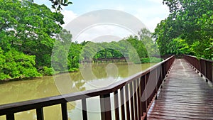 Long woonden walk way bridge in mangrove green at Bangkrachao area