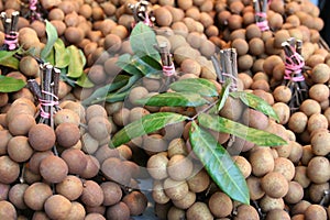 Longan photo