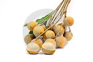 Longan