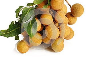 Longan