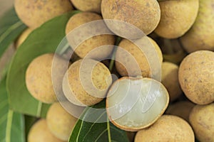 Longan