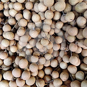 Longan or buah mata kucing