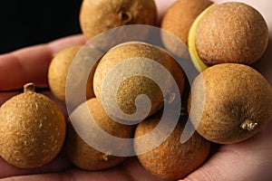 Longan, fresh longan on palms.