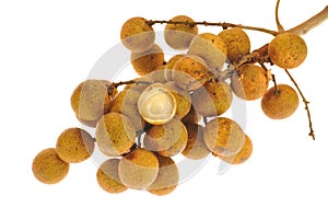 Longan Fruit