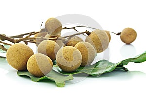 Longan fruit photo