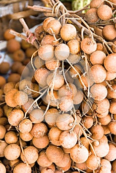 Longan fruit photo