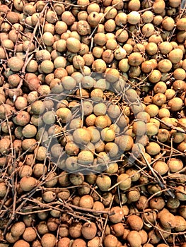Longan fruit