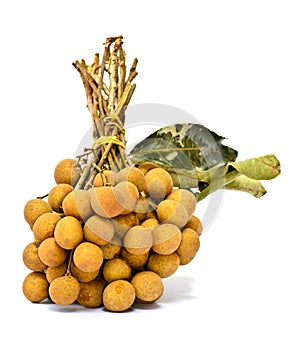 Longan fruit isolated