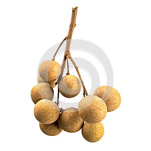 Longan fruit isolated on white background