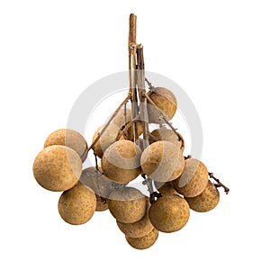 Longan fruit isolated on white background