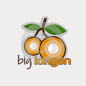 Longan fruit logo design