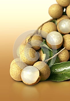 Longan