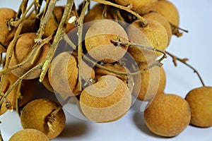 Longan fruit Thai fruit