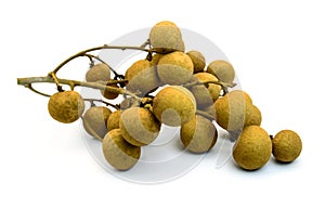 Longan