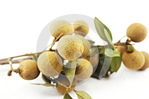 Longan isolated