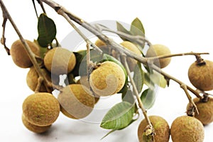 Longan isolated