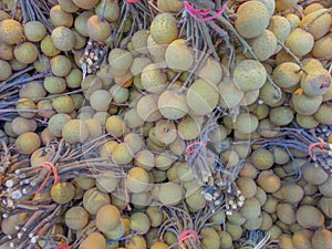 Longan many full frames look good enough to eat.