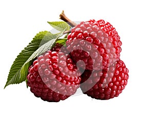Longanberry Fruit on white background