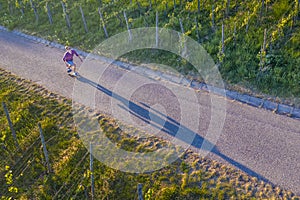 Longboarder in vineyard in a view from above