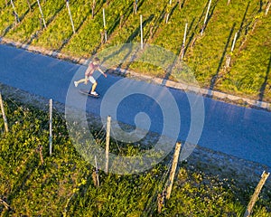 Longboarder in vineyard in a view from above