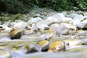 Longexposure on a french river in the forest