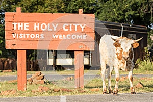 Longhorn cow guarding entrance sign at Holy City