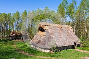 Longhouse and hut on a meadow in a beautiful landscape at springtime