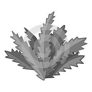 Longifolia cactus icon monochrome