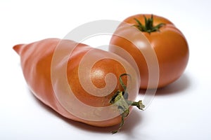 Longish and round tomato