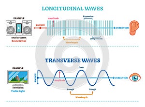 Longitudinal and Transverse wave type, vector illustration scientific diagram. Sonic and visual perception principle.