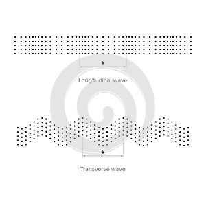 Longitudinal and transverse waves