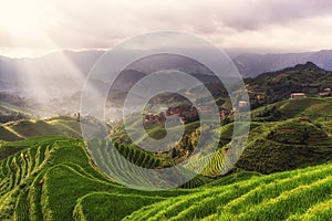 Longji rice terrace