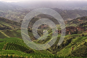 longji rice terrace