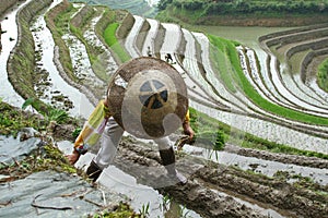 Longji rice terraces