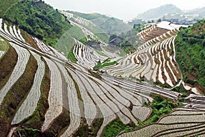 Longji rice terraces