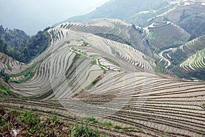 Longji rice terraces