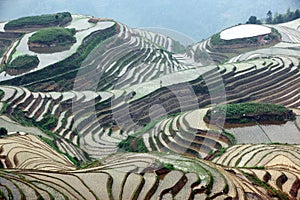 Longji rice terraces, China