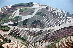 Longji rice terraces, China