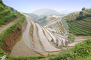 Longji rice terraces, China