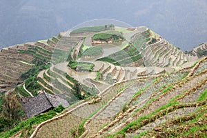 Longji rice terraces, Guangxi province photo
