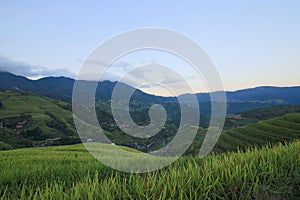 Longji rice terraces, Guangxi province, China