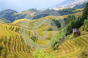 Longji rice terraces in Guangxi province, China